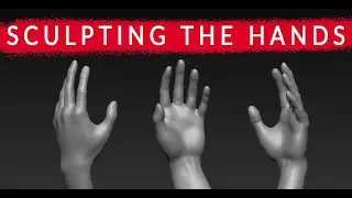 How to Sculpt the HANDS in ZBrush: Basic Lay-in