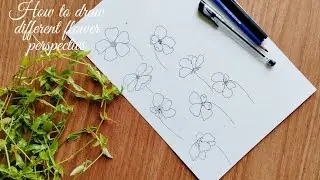 How to draw 7 different flower perspectives. Step by step tutorial for beginners.