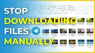 How to Download All Files from a Telegram Chat / Group