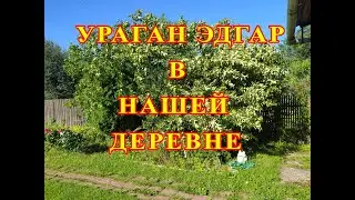 Ураган прошелся по нашей деревне