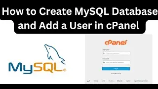 How to Create MySQL Database and Add a User in cPanel | Step-by-Step Tutorial