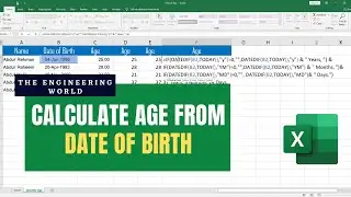 How to Calculate Age from Date of Birth in Excel in Years Months and Days (Simple Formula)