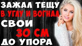 Зять не может отказать теще в этом деле. История из жизни.