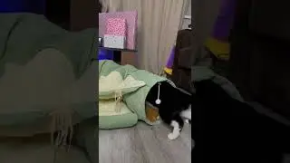 У Барика день Рождения!