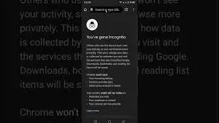 see incognito history chrome