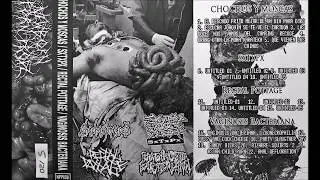 Chochos y Moscas & SxTxPx & Rectal Pottage & Vaginosis Bacteriana  (FULL TAPE)