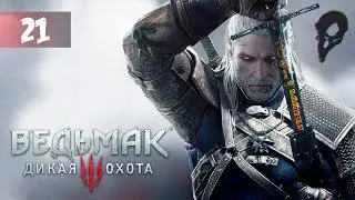 Ведьмак 3: Дикая Охота - Прохождение 21 - По следам Цири. Комната Цири. Кладбищенские гиены