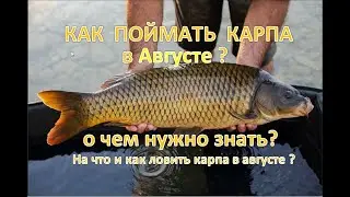 КАК ПОЙМАТЬ КАРПА в АВГУСТЕ? Ловля карпа в августе – о чем нужно знать?