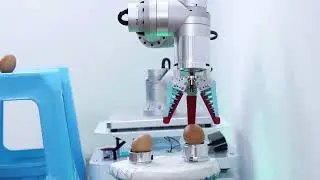 copperative robot -2
