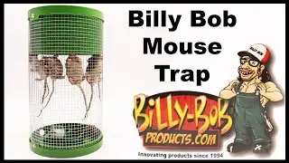 BILLY - BOB Mouse Trap. Multi-Catch Live Trap Perfect for Vehicles and Small Spaces Mousetrap Monday