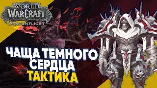 ЧАЩА ТЕМНОГО СЕРДЦА ТАКТИКА мифик плюс 3 сезон World of Warcraft Dragonflight патч 10.2