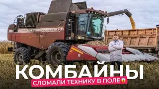 Молотят всё! Сравниваем немецкий комбайн CLAAS и белорусский «Гомсельмаш» в поле.