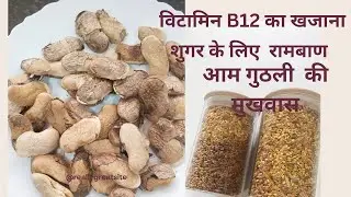 aam mango Gotali mukhvas/आम की गुठली का मुखवास विटामिन B12 का खजाना/शुगर लिए रामबाण मुखवास