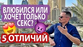 Влюбился или хочет только секс? 5 отличий