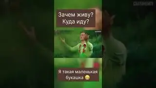 В чем смысл жизни?