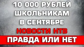 10000 школьникам до Декабря НТВ новости Правда или нет