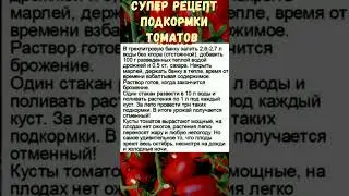 СУПЕР РЕЦЕПТ ПОДКОРМКИ ПОМИДОР#shorts