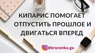 Кипарис помогает отпустить прошлое и двигаться вперёд