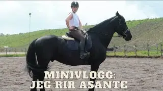 MINIVLOGG: JEG RIR FRIESEREN ASANTE