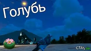 Голубь - Лофофора - GTA 5