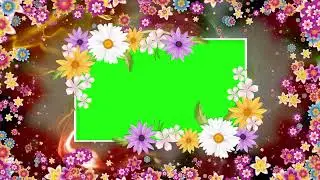 Video background, green screen animation, motion template video background free