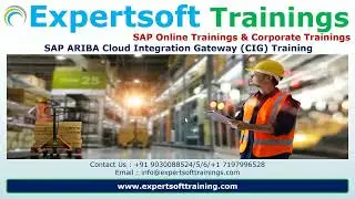 SAP ARIBA Cloud Training | SAP ARIBA Corporate Training