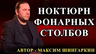 "НОКТЮРН ФОНАРНЫХ СТОЛБОВ". Автор - Максим Шингаркин