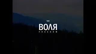 Tesh - Воля (Freedom) (Official Audio)