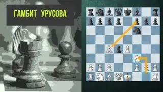 Гамбит Урусова. Шахматы