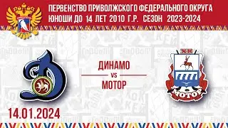 ДИНАМО vs МОТОР 2010 14.01.2024.