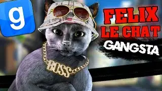 FELIX LE CHAT GANGSTA - GARRY'S MOD DARKRP