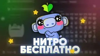 Получи Discord NITRO на 1 месяц БЕСПЛАТНО прямо сейчас! (не актуально)