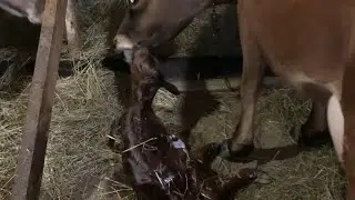 Март- апрель. Месяц в одном видео.