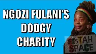 Ngozi Fulani’s Charity Finances Just Don’t Add Up 🤔