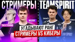 СТРИМЕРЫ VS КИБЕРЫ УГАДАЙ РАНГ В MOBILE LEGENDS #5 (feat. SAWO, HIKO, TrexteriNO, Wizer)