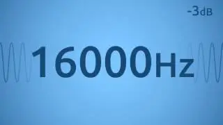 16000 Hz Test Tone