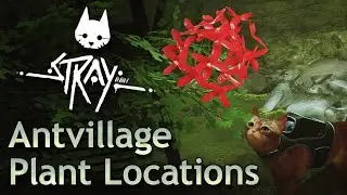 Stray Guide - All Plant Locations in Antvillage