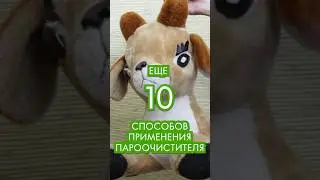 еще 10 способов использования пароочистителя 