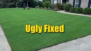 Fixing an Ugly Lawn - 2 Week Cure