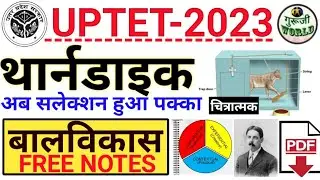 UPTET का सुपरहिट सिद्धान्त थार्नडाइक का सिद्धांत | Thorndike sidhant uptet cdp | Cdp live |#uptet