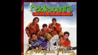 Adolescent's Orquesta - Me Negó (Audio Oficial)