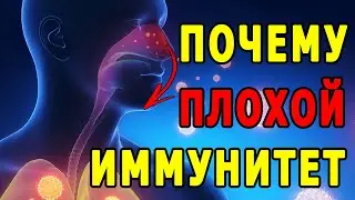 Почему у Вас Плохой Иммунитет | Полезные Советы для Жизни