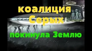 Эвакуация Серых с Земли зафиксирована камерами МКС