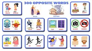 300 Opposite Words in English: Master Vocabulary with Native Pronunciation | Part 2