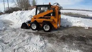 Эдильбаевская порода овец .