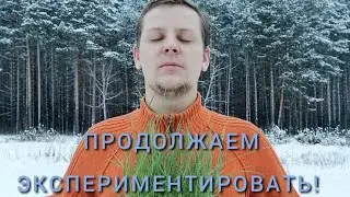ПРОДОЛЖАЕМ ЭКСПЕРИМЕНТИРОВАТЬ С ГОРОХОМ🍀🌱🌳🤘#16