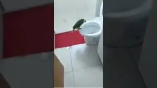 СПОРИМ, ЭТОТ МЕГАХИТ ЗНАЕТ КАЖДЫЙ