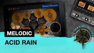 REAL DRUM: MELODIC - Acid Rain