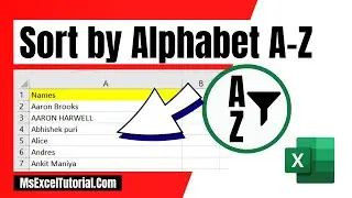 How to Sort by Alphabet in Excel Basic Tutorial