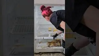 Extreme Cleaning a disgusting fridge